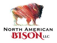 American Bison